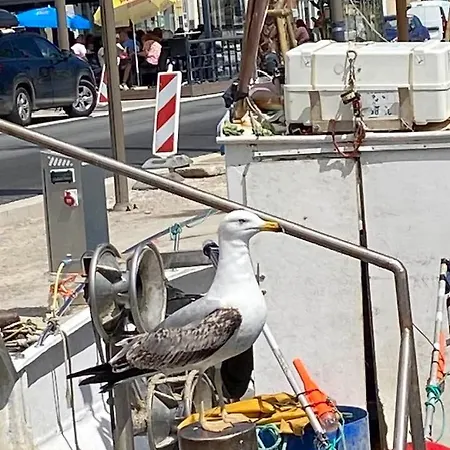 Appartamento Castellane : T2 Spacieux - Vue - Wifi