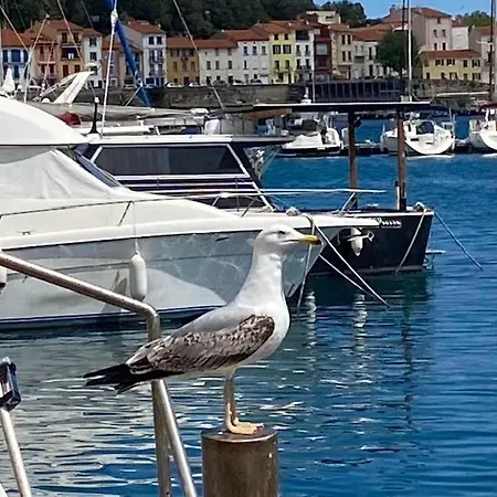 Castellane : T2 Spacieux - Vue Port - Wifi *
